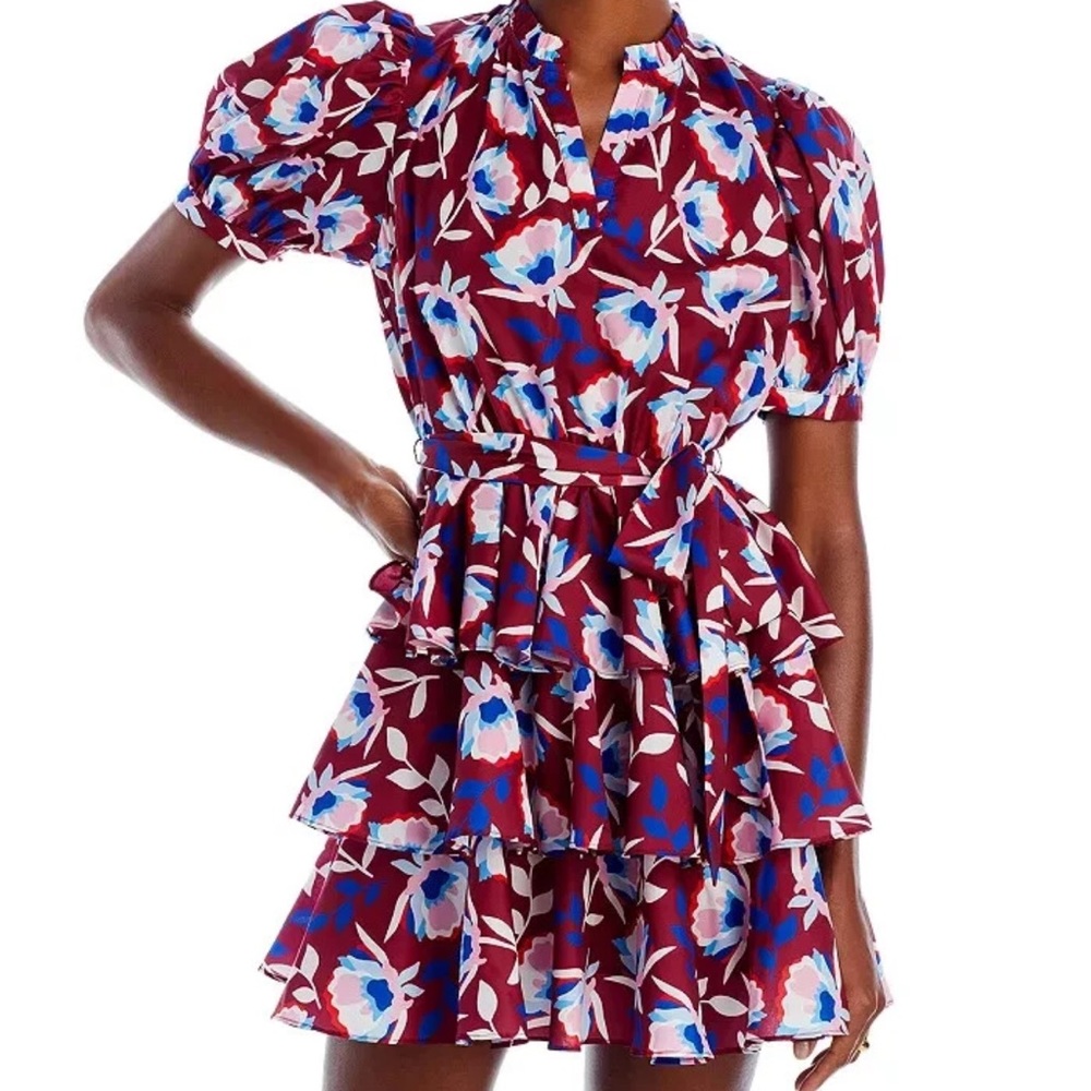 Aqua Burgundy Floral Ruffle Mini Dress